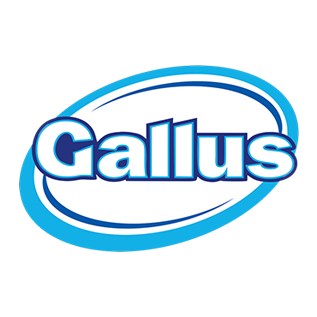gallus