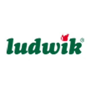 Ludwik