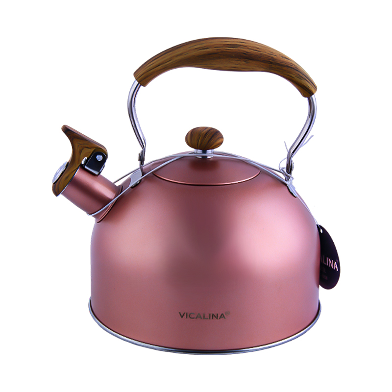 Թեյնիկ սուլիչով Vicalina VL-9236 չժանգոտվող պողպատ 2.5լ AG242-8-5