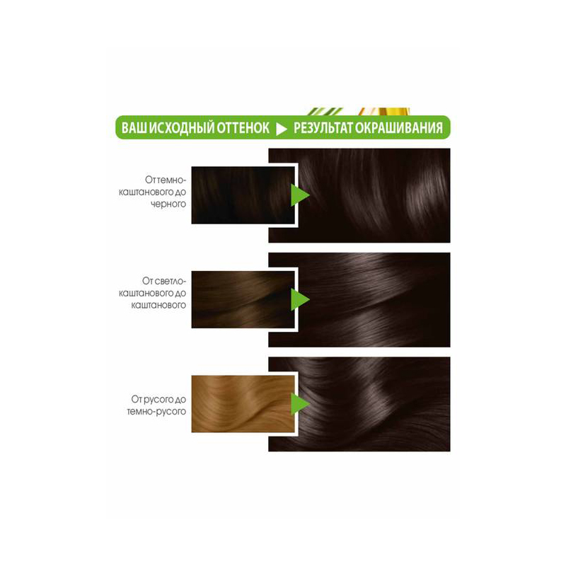 Մազի ներկ Garnier Color Naturals «2.0 էլեգանտ սև» 110մլ 2