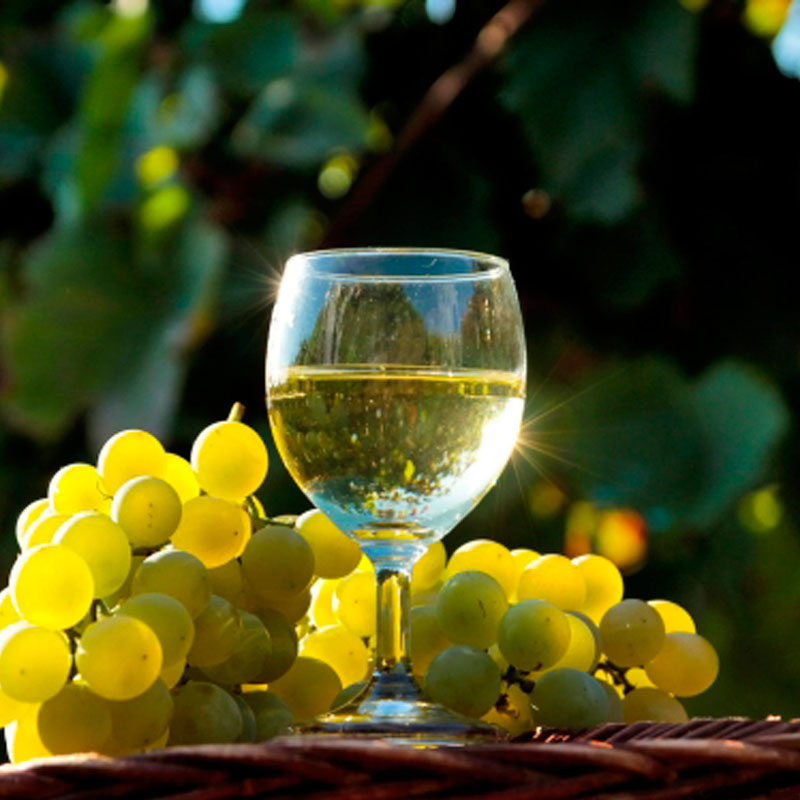 Հյութի բաժակ 44415 Bistro ապակի 175մլ 2