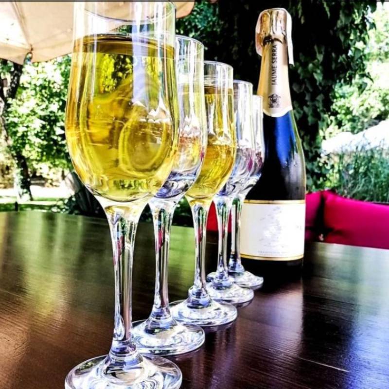 Շամպայնի բաժակ 44160 Tulipe ապակի 190մլ 6 հատ 2