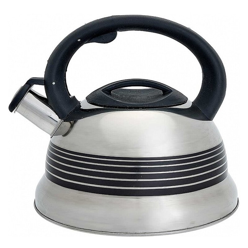 Թեյնիկ Webber BE-0523 չժանգոտվող պողպատ 3լ սուլիչով 2