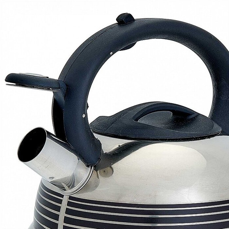 Թեյնիկ Webber BE-0523 չժանգոտվող պողպատ 3լ սուլիչով 3