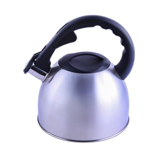 Թեյնիկ սուլիչով Flamberg AA242-7-2 արծաթագույն չժանգոտվող պողպատ պլաստմասսե բռնակով 2․5լ