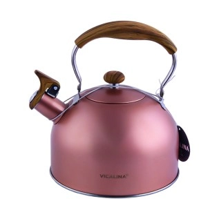 Թեյնիկ սուլիչով Vicalina VL-9236 չժանգոտվող պողպատ 2.5լ AG242-8-5