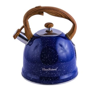 Թեյնիկ սուլիչով HausRoland HR743-1 չժանգոտվող պողպատ 3լ AG243-37-2