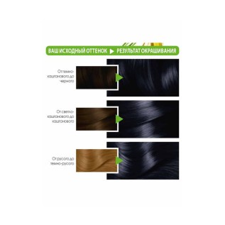 Մազի ներկ Garnier Color Naturals «2.10 կապտավուն սև» 110մլ 2