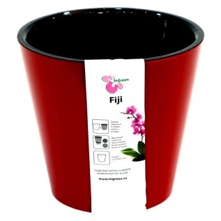 Ծաղկաման Fiji ING1553 1,6լ РБ