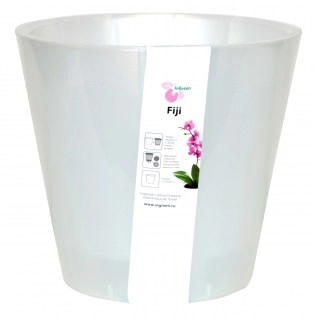 Ծաղկաման Fiji ING1559 5լ БЛ